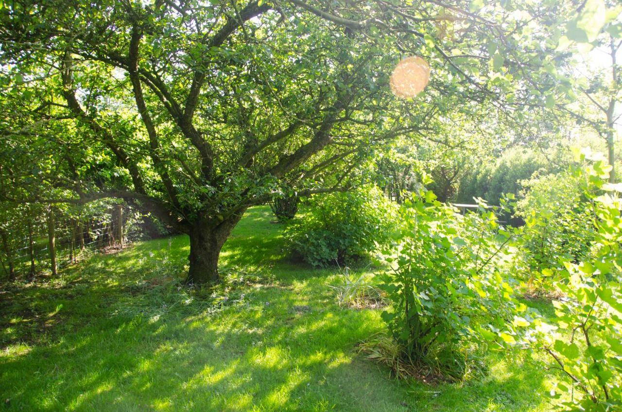 1 Hope Cottage Spilsby Екстер'єр фото